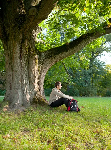 Man is sitting resting under a large old oak tree