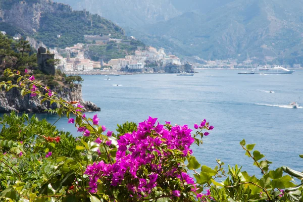 Flowers in the Amalfi Coast, Italy