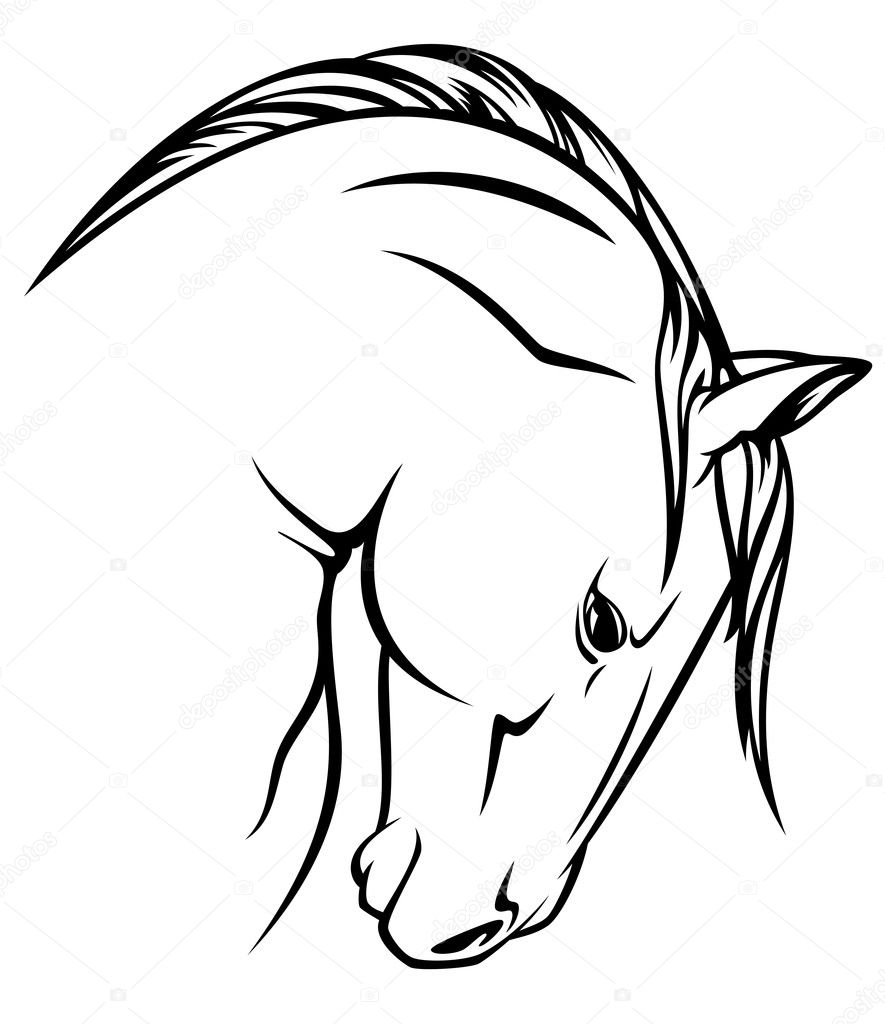 Quarter horse head silhouette pictures Quarter horse head silhouette pictures