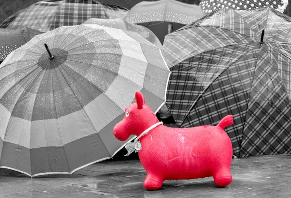 Toy in the rain