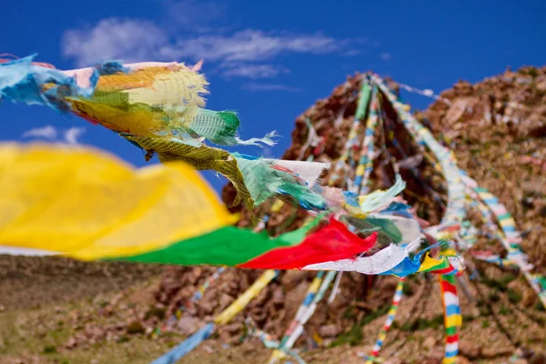 Colourfull praying buddhist flags