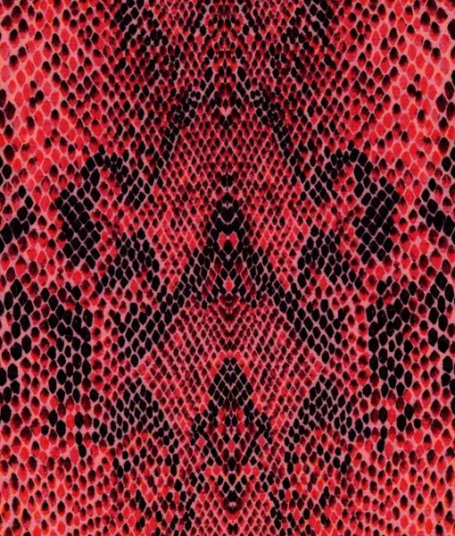 Red snake skin with pattern