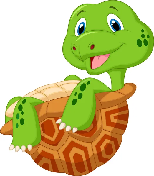 Turtle cartoon Stock Vectors, Royalty Free Turtle cartoon Illustrations