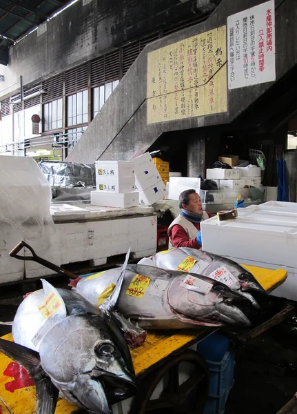 Tsukiji fish market Japan