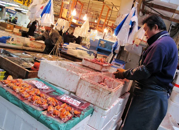 Tsukiji fish market Japan