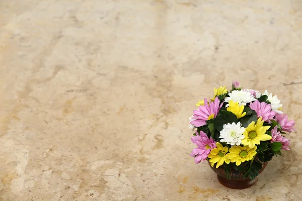Flower on marble table