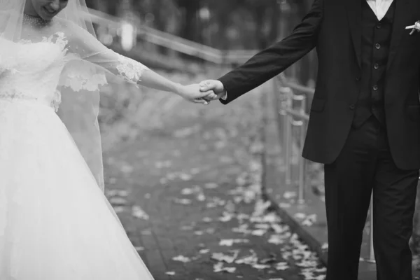 Bride and groom holding hands