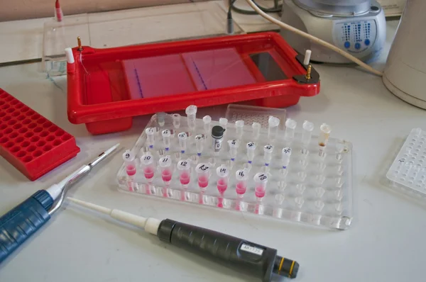 Desk in the biological laboratory.