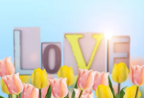 Fresh tulips and word love.