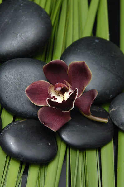 Orchid and zen stone on palm leaf