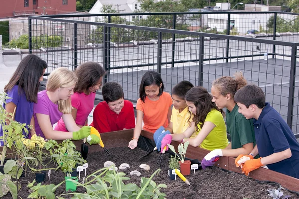 Group of ethnically diverse children planting urban rooftop garden