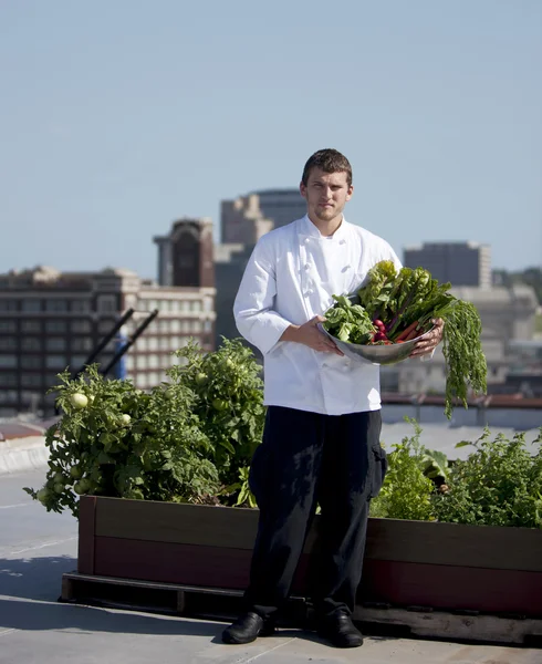 Chef harvests herbs from urban restaurant rooftop