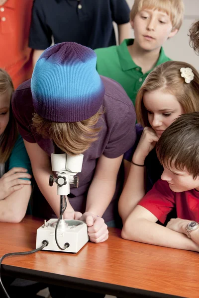 School Science. Students in the school classroom looking at something under the microscope