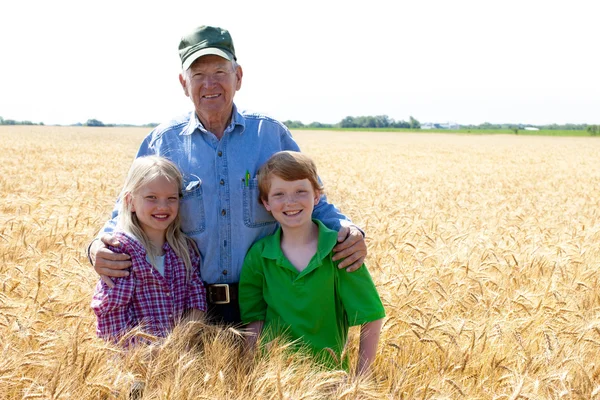 Grandfather farmer stands with grandchildren in wheat field