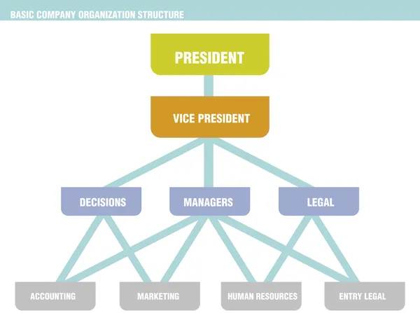 Basic Company Organization Structure Chart