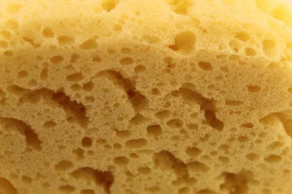 Yellow bath sponge Close-up