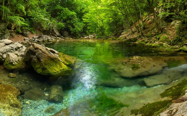 Lake in the summer canyon