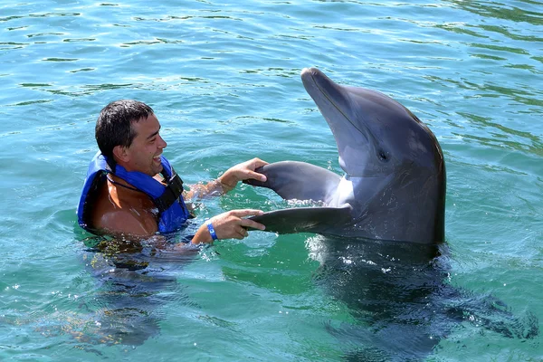 Happy man swimming with dolphin