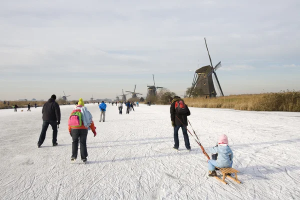 Skating scene with Dutch historic windmills at Kinderdijk