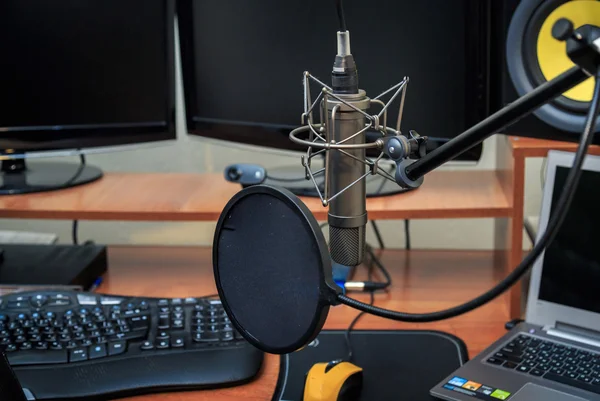 Tube microphone, professional microphone, recording studio