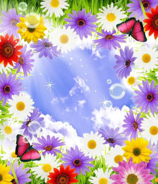 Flowers and sky and butterflies