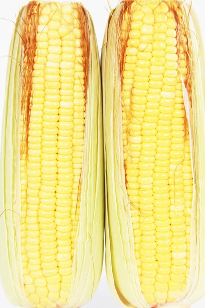 An ear of corn isolated on a white background