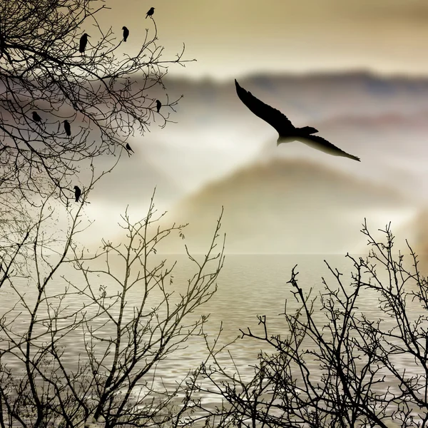 Birds flying over the river