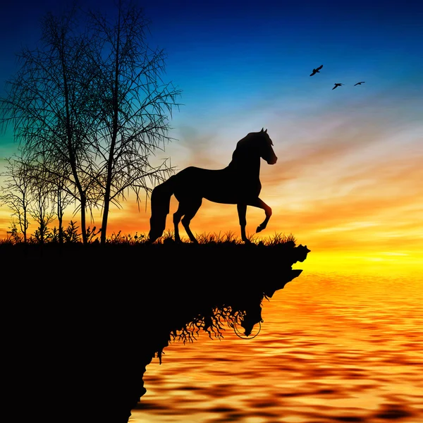 Horse silhouette on rock