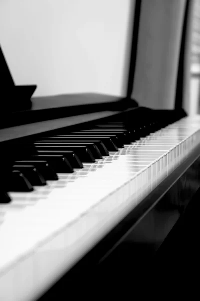 Piano keys side view with black and white