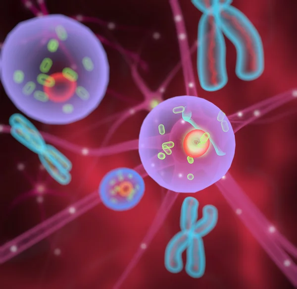 Molecules Cells Chromosomes