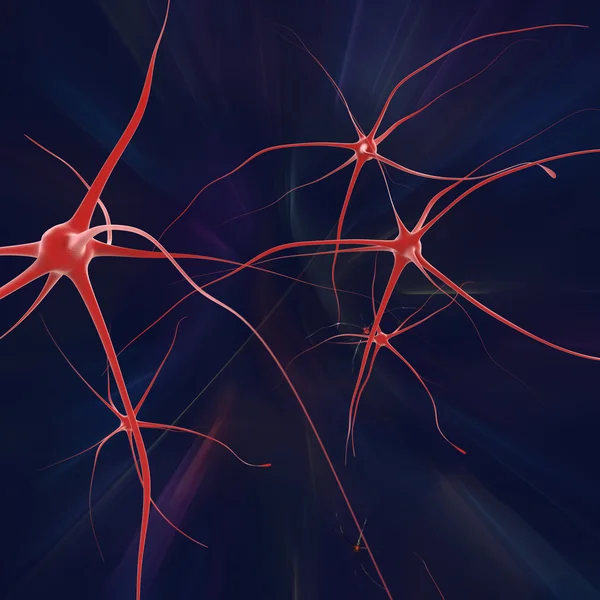 Nerve cells