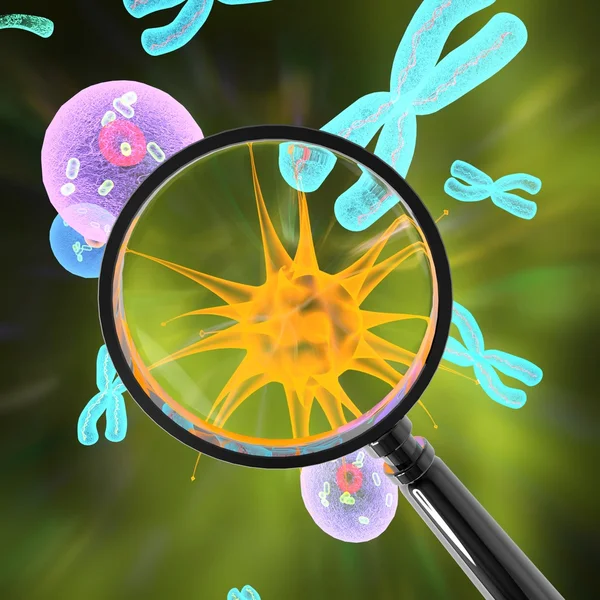 Chromosomes virus cell with magnifier