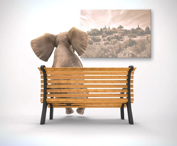 Elephant sitting looking painting
