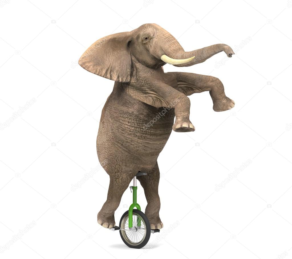 Olifant rijden een eenwieler — Stockfoto © Giovanni_Cancemi 43332569