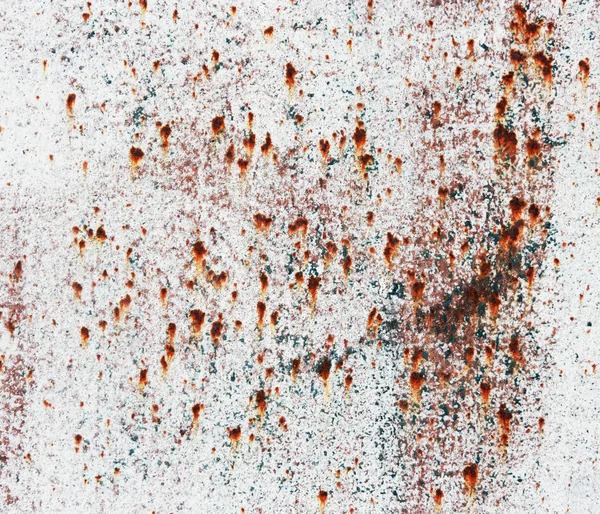 Old rusty white metallic background. Rusty old metal plate with