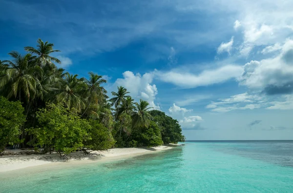 Perfect tropical island paradise beach