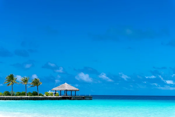 Perfect tropical island paradise beach Maldives