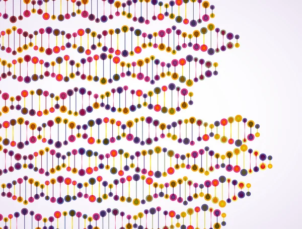 Structure of the DNA molecule
