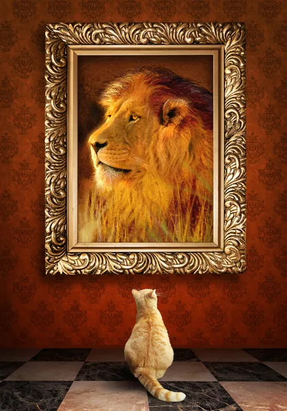 Cat looking at a portrait of a lion in a golden frame.