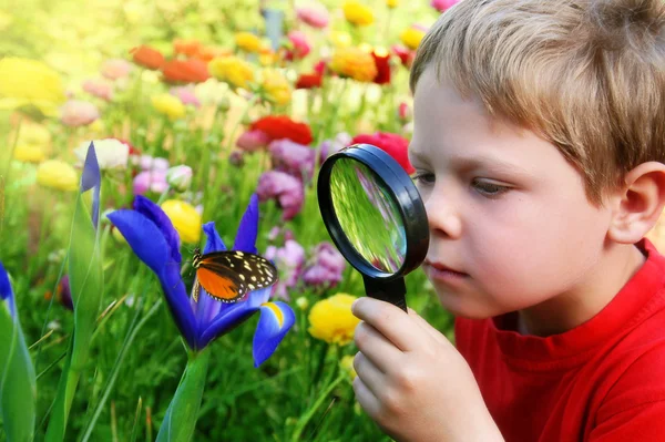 Child observing a butterfly