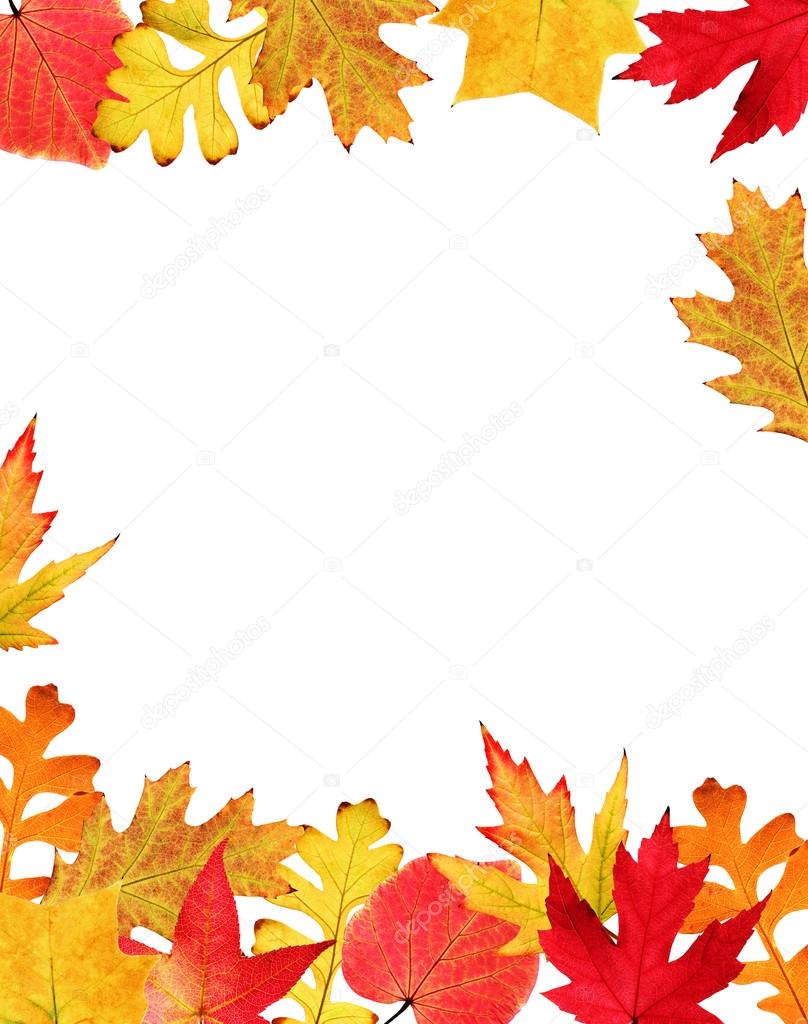 Leaf Border Clip Art