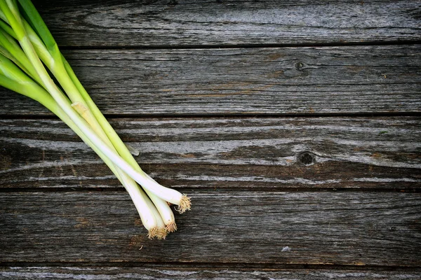 Leek on wood background