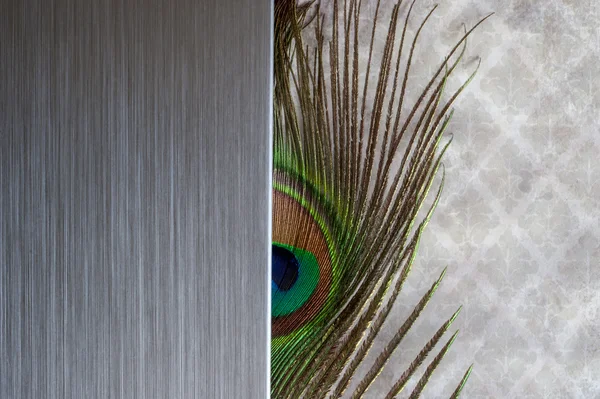 Brushed metal peacock feather abstract