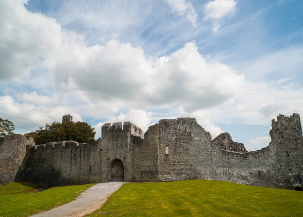 Ruins of Adare castle in Ireland