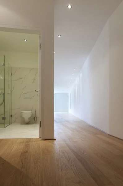 Interior empty flat, opened door in bathroom