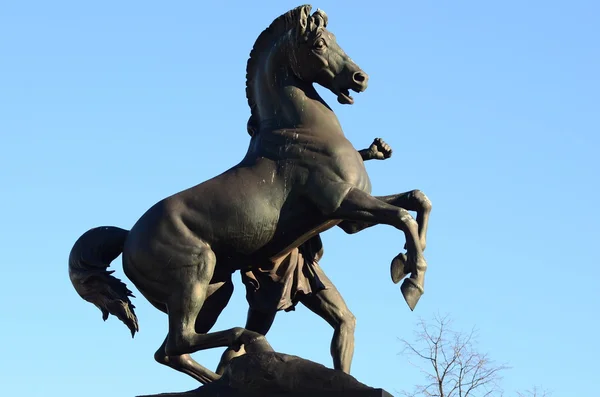 Horse Statue in Vienna