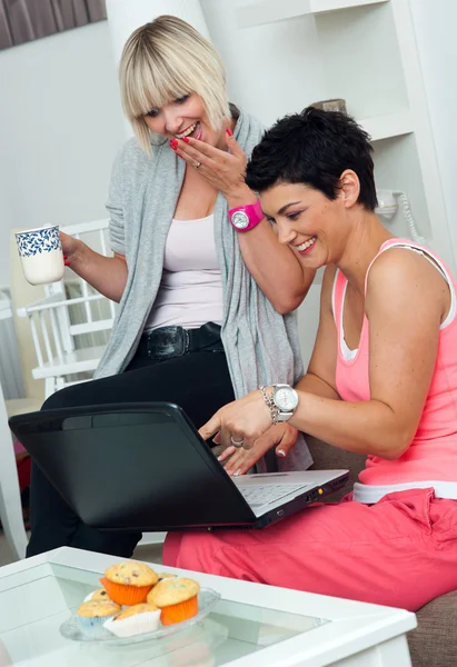 Two mature woman friends with laptop at home