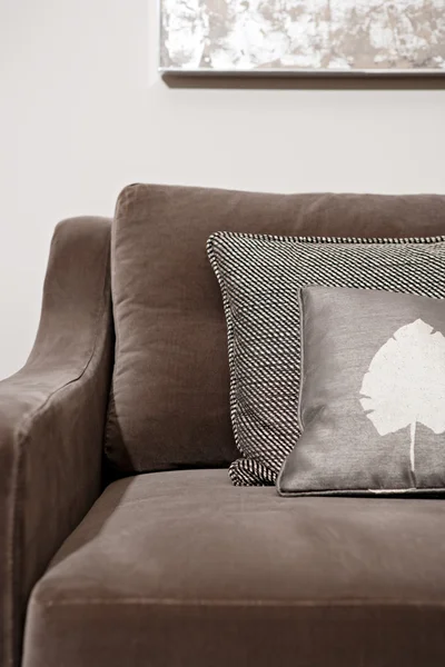 Elegant brown sofa in a luxury home living room