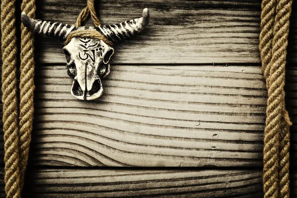 Buffalo skull on wooden background