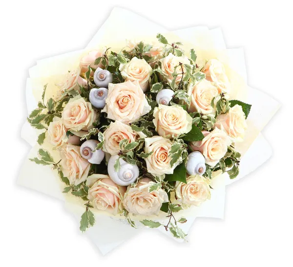 Floral compositions with cream colored roses and seashells. The isolated image on a white background. Pink roses and shell.